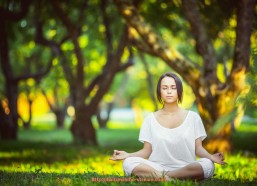 海豚直播-历年火箭队球员名单汇总：从建队到如今的巨星更替