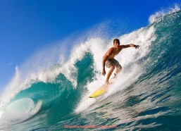 海豚直播-健身器材出租：健身器材租赁服务及适用场合的详细介绍