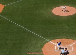 海豚直播-非洲冠军联赛冠军晋级世俱杯的相关介绍与规则说明