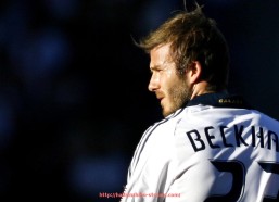 海豚直播-女性试用健身器材实录：舒适性、效果与用户反馈全分析