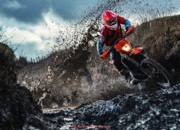 海豚直播-世俱杯球迷社区活跃度分析与互动内容推荐