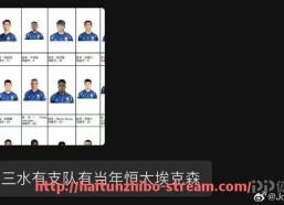 海豚直播-NBA总决赛中，哪些因素影响球队的整体比赛策略？（nba总决赛球员效率值排名）