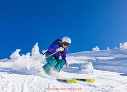 海豚直播-世俱杯观众加油口号创意推荐与传播力对比