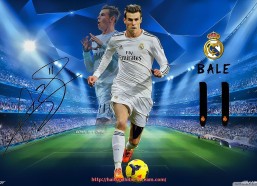 海豚直播-世俱杯赛事官方通行证发放制度及权限等级规定