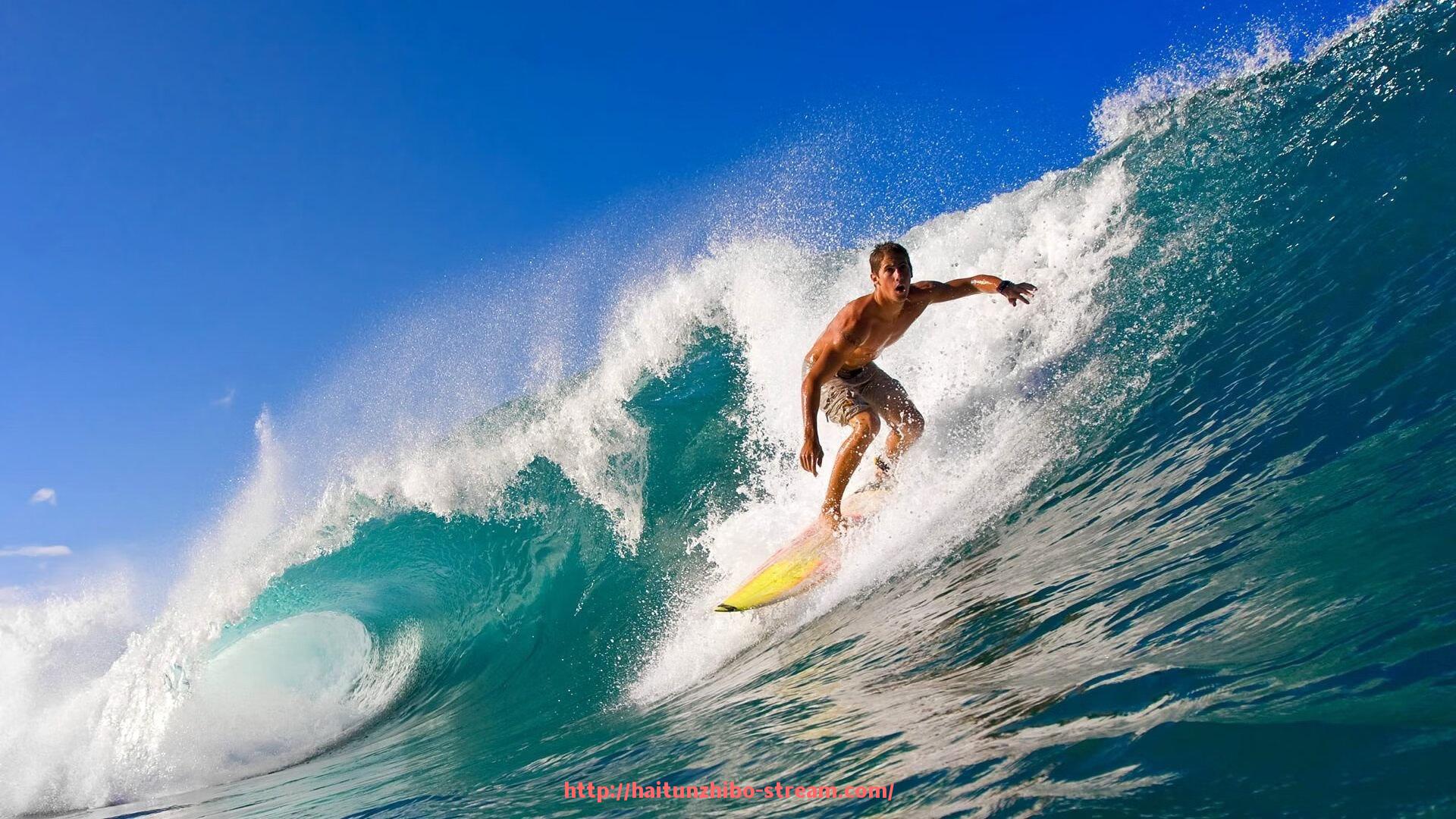 海豚直播-NBA低调看球的最佳方式有哪些(nba低调看直播回放)